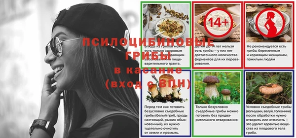 ешки Богородицк